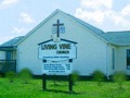 Living Vine Church.htm