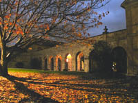 The Shrine of St. Anthony